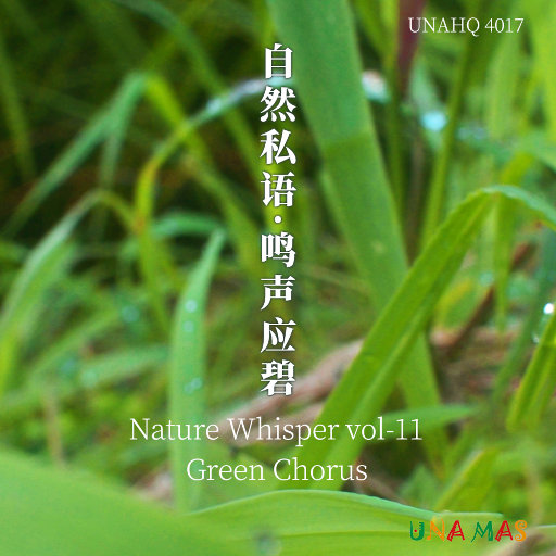 av片永久免费全集在线观看
